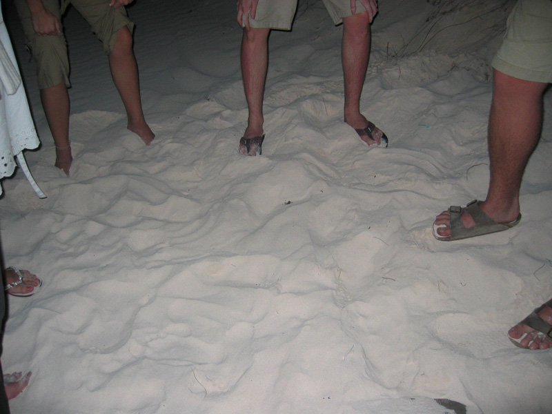 Bahamas 044