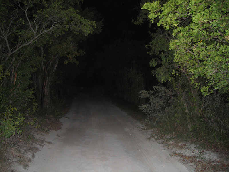 Spring Break 072