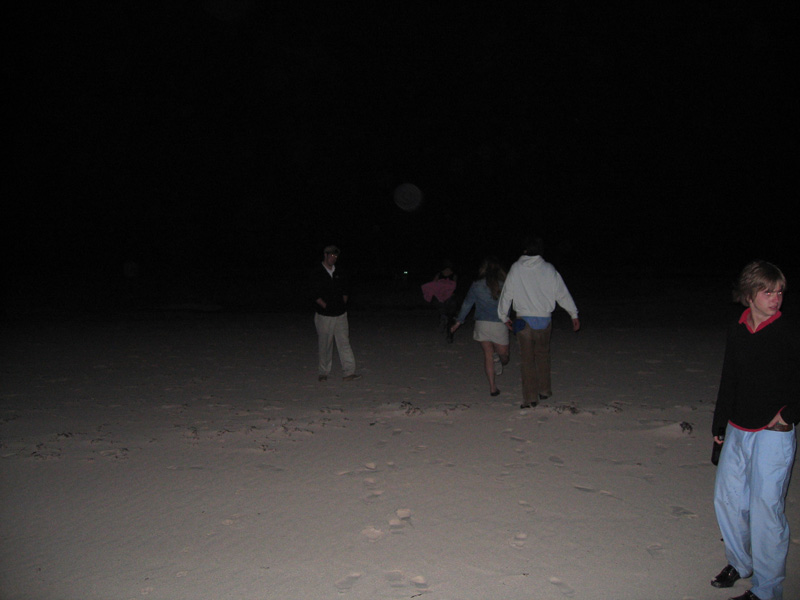 Spring Break 143