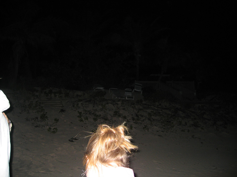 Spring Break 149