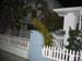 Spring Break 067