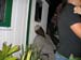 Spring Break 071