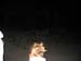 Spring Break 149
