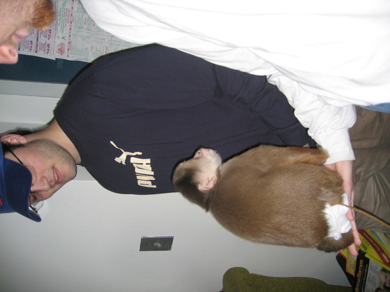 First Week in April 042