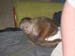 First Week in April 043