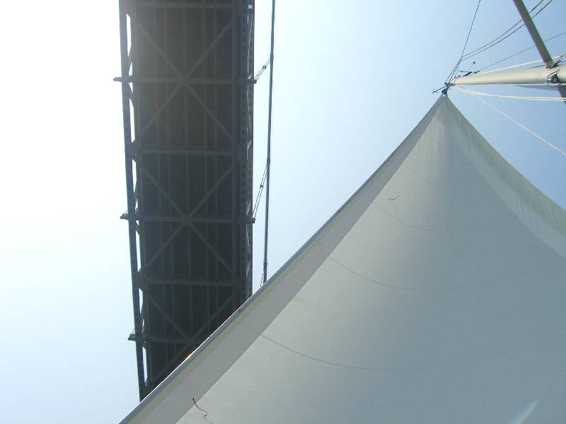 CIMG1484 Bay Bridge from below